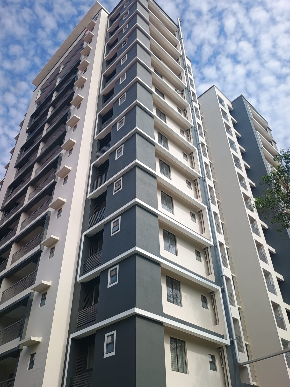 SKYLINE OZONE