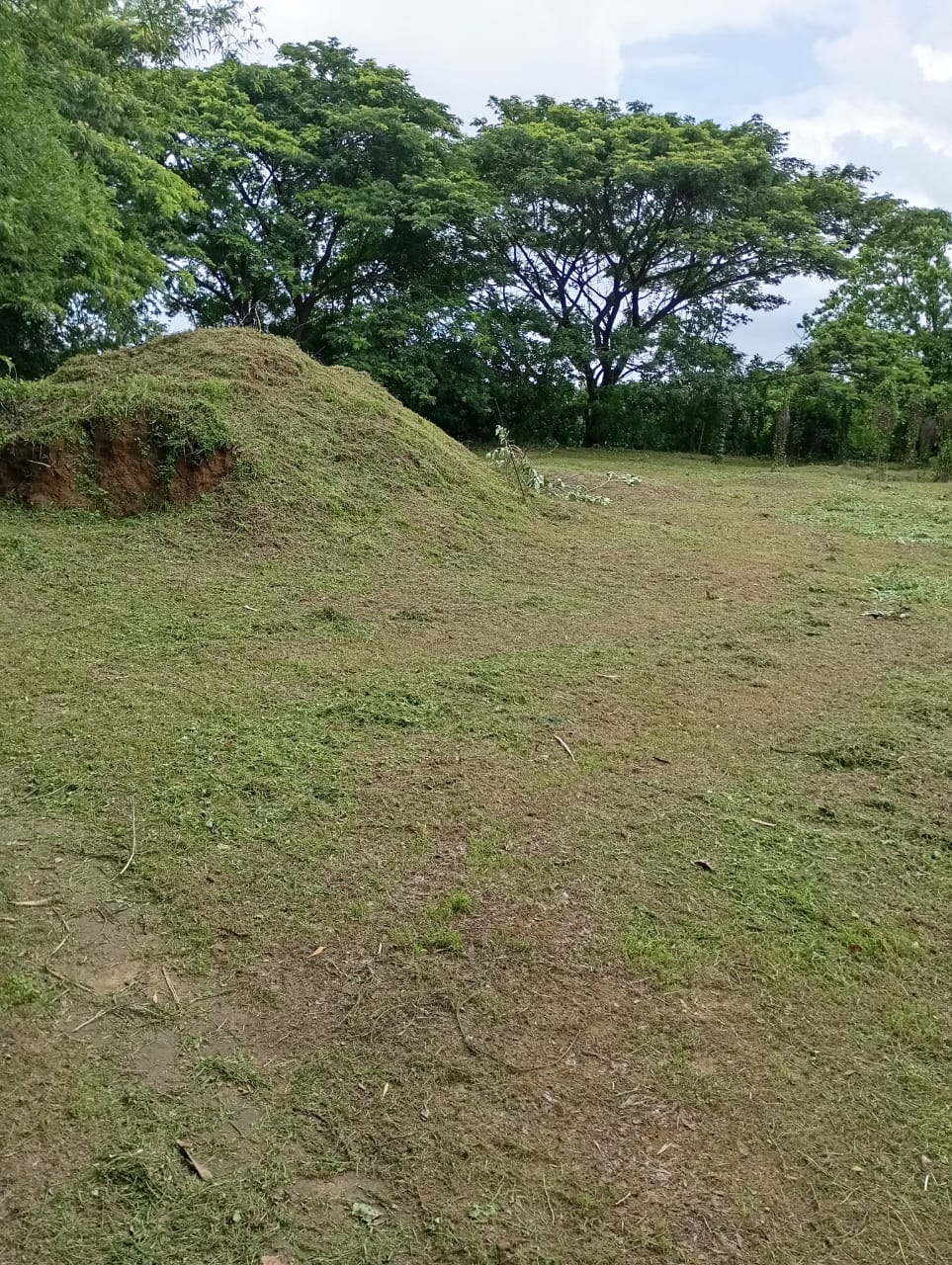 HANCO THE GREEN VILLAGE