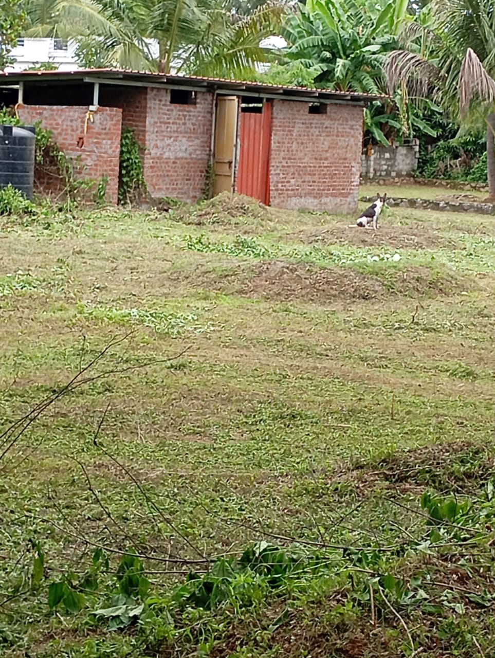 HANCO THE GREEN VILLAGE