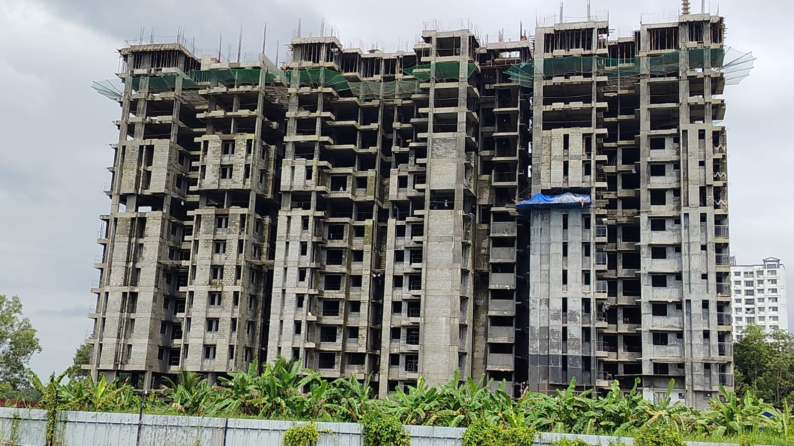 DD GREEN VILLAGE