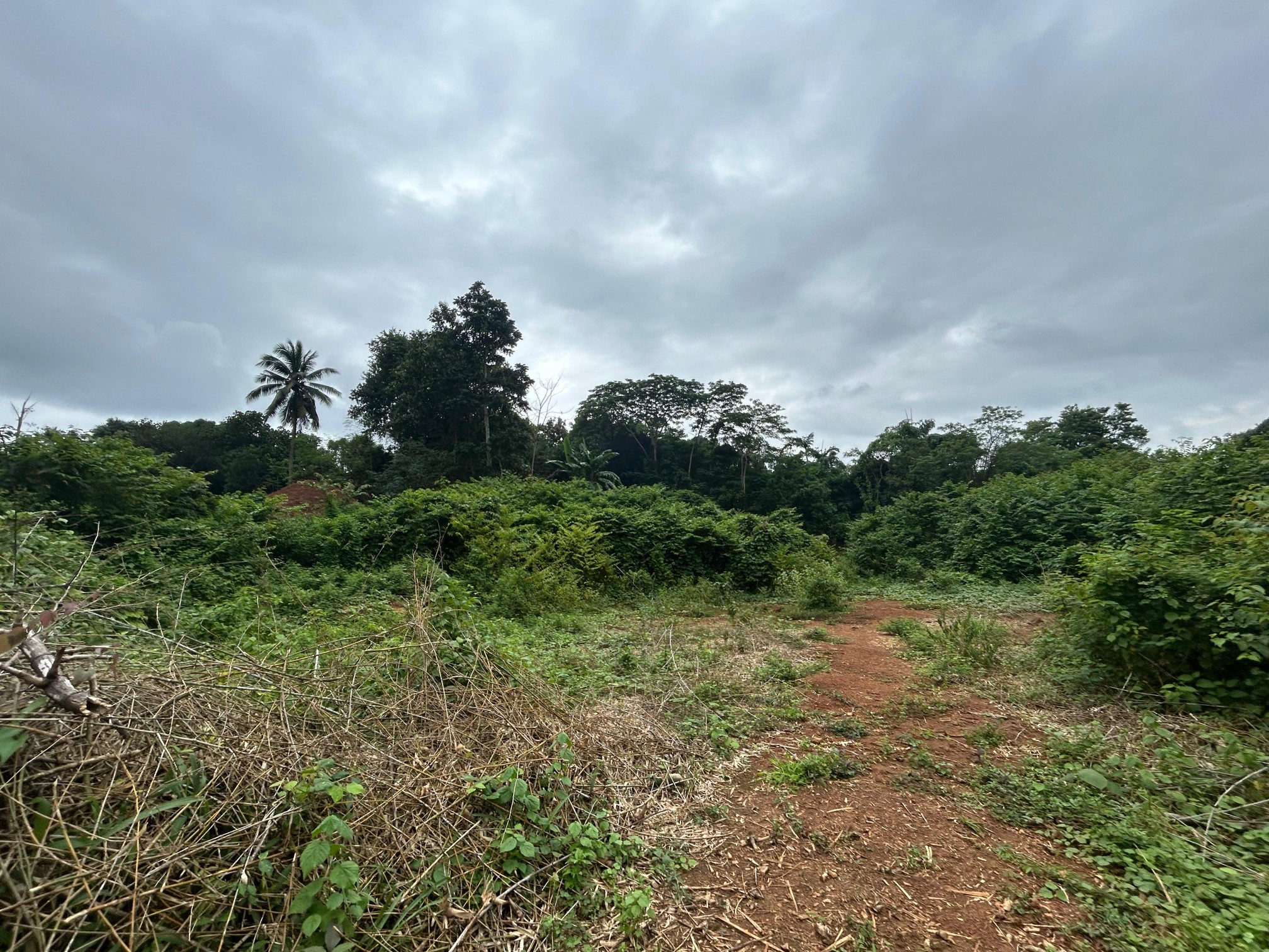 KMA PROPERTIES EMPYREAN AVENUE