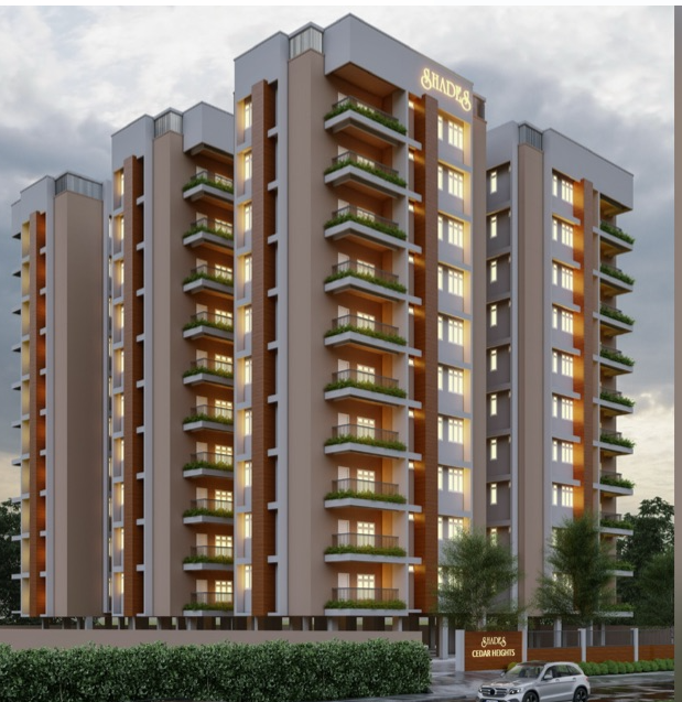 SHADES - CEDAR HEIGHTS