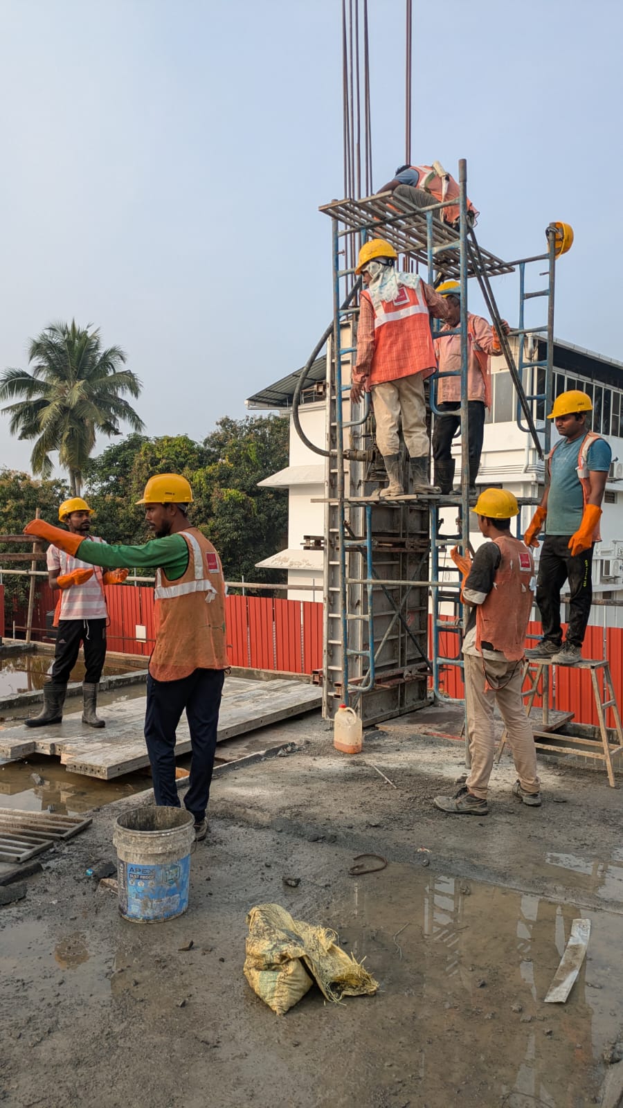 ASSET THE GRAND ENTRY