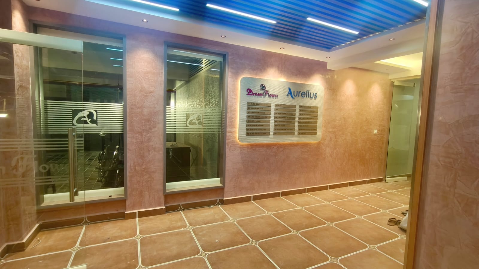 DREAMFLOWER AURELIUS