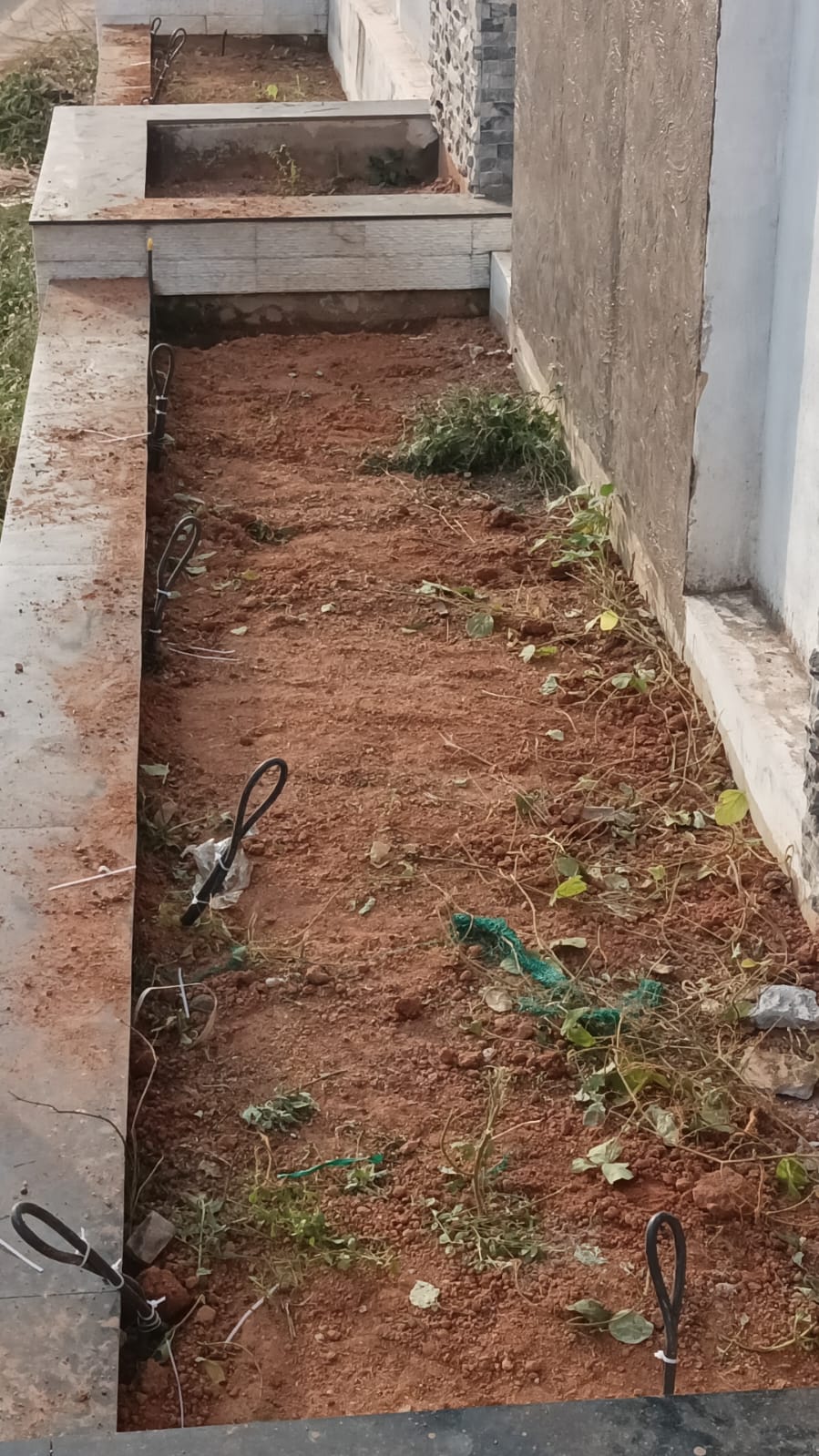 PRAJAPATHYS CHEMPA GARDENS