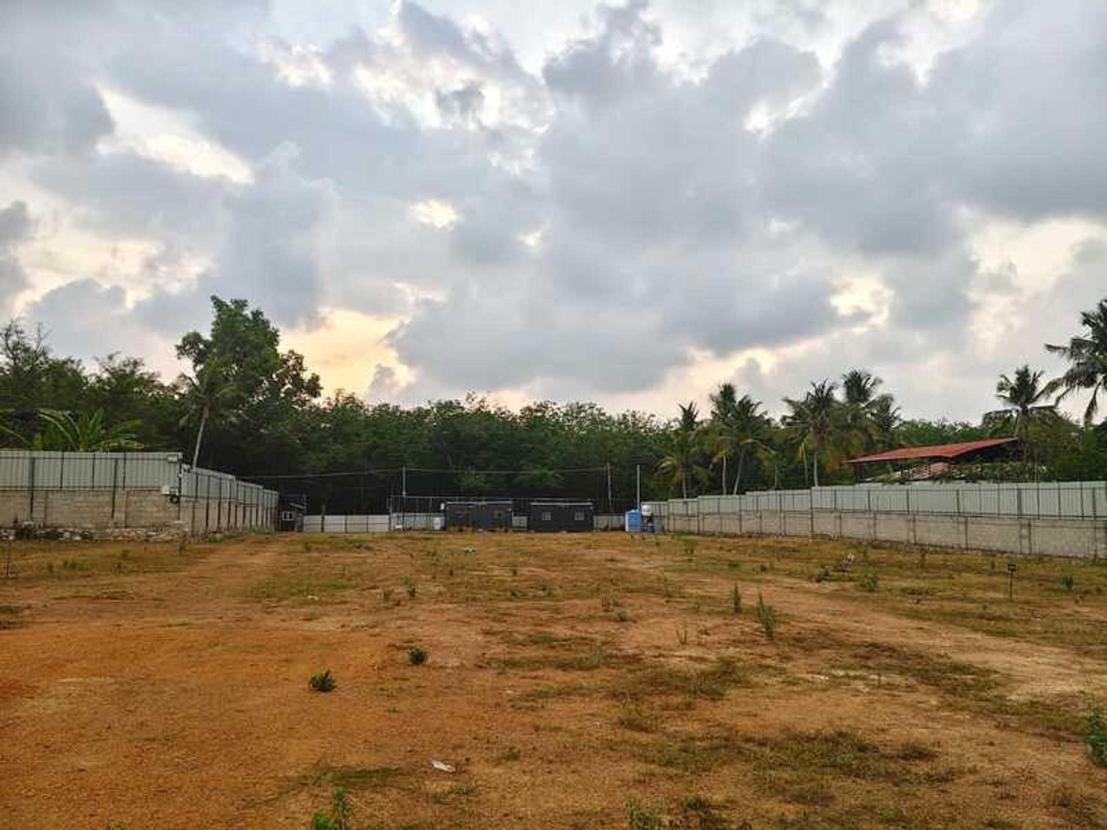 SKYLINE URBAN OASIS 2