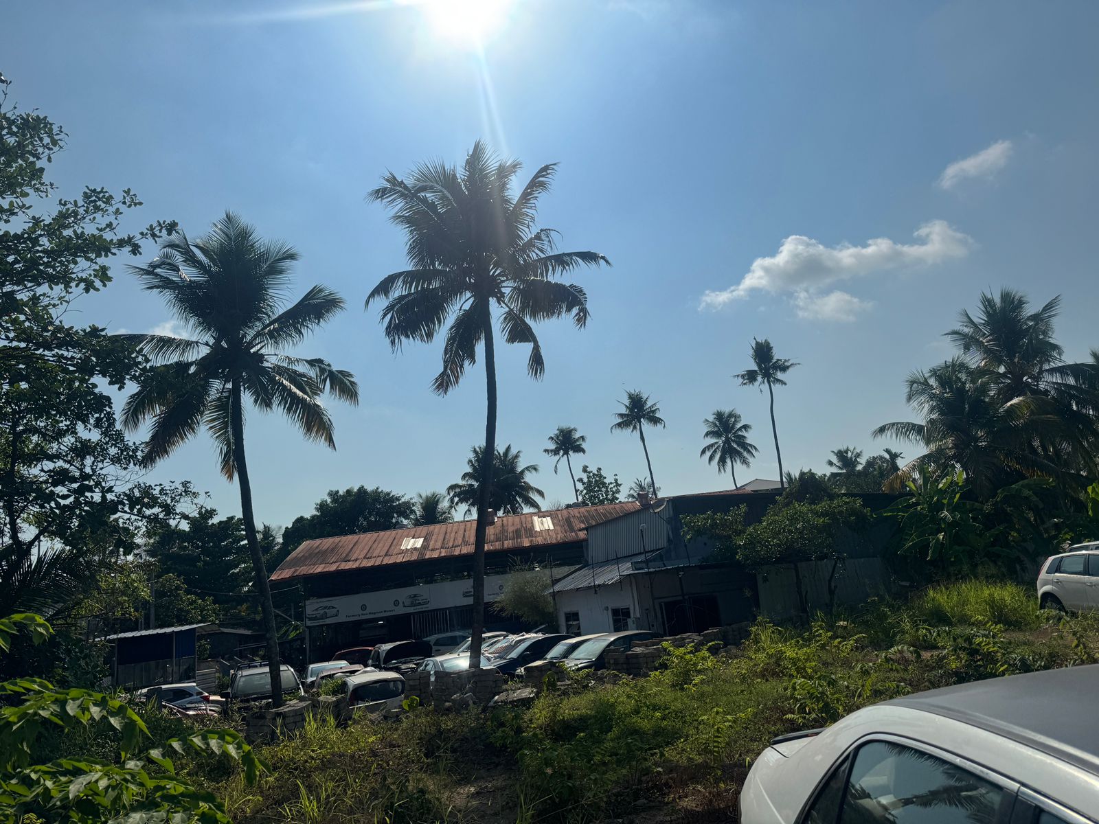 Beneath The Wandering Leaf