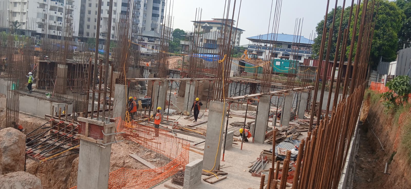 SFS SONG OF NIGHTINGALE