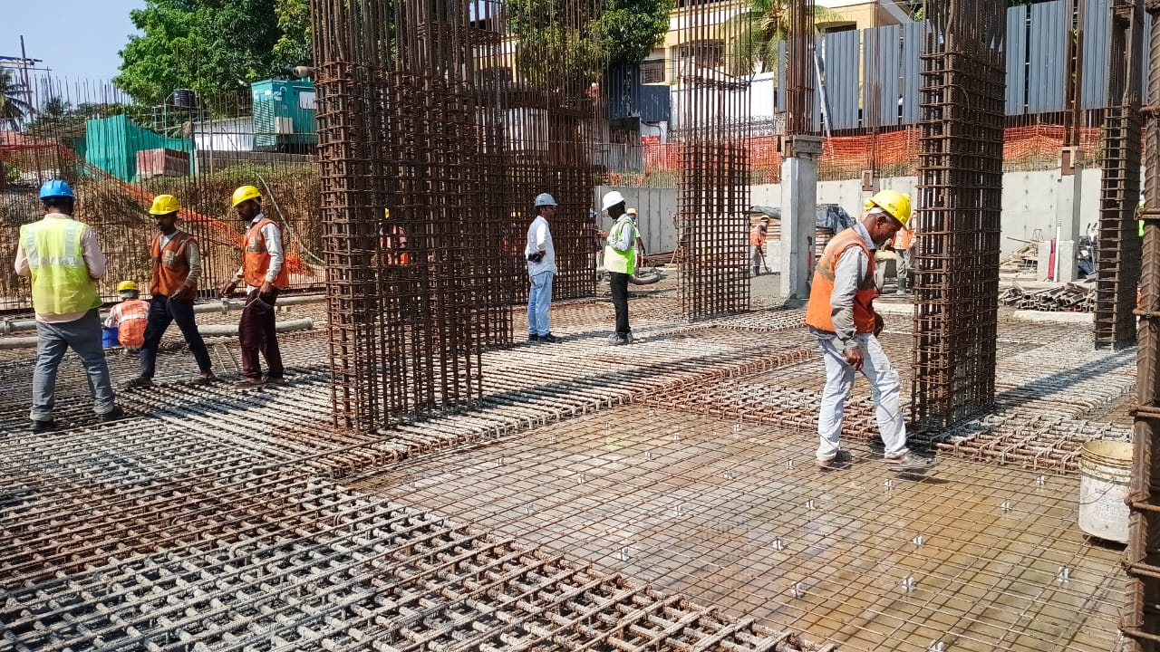 SFS SONG OF NIGHTINGALE